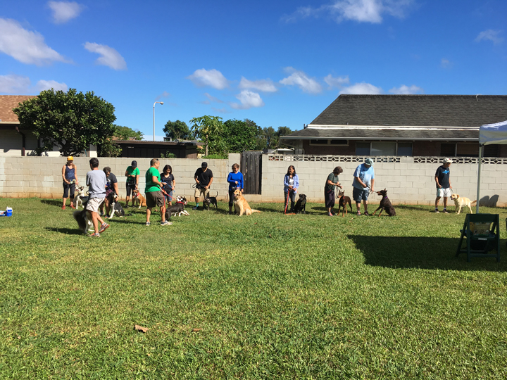  Spring 2018-Beginner-Cathy-1 