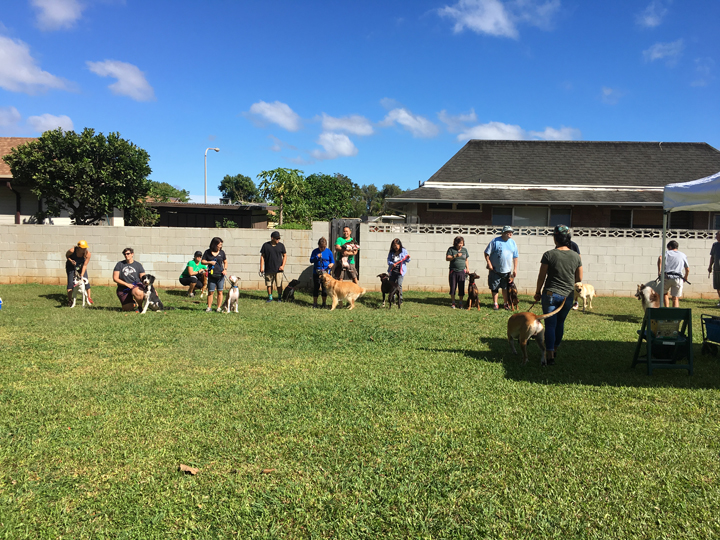  Spring 2018-Beginner-Cathy-2 