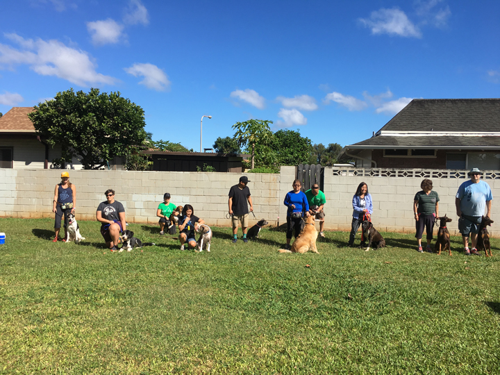  Spring 2018-Beginner-Cathy-3 