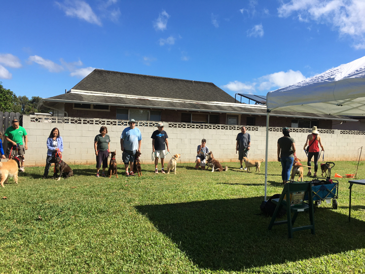  Spring 2018-Beginner-Cathy-4 