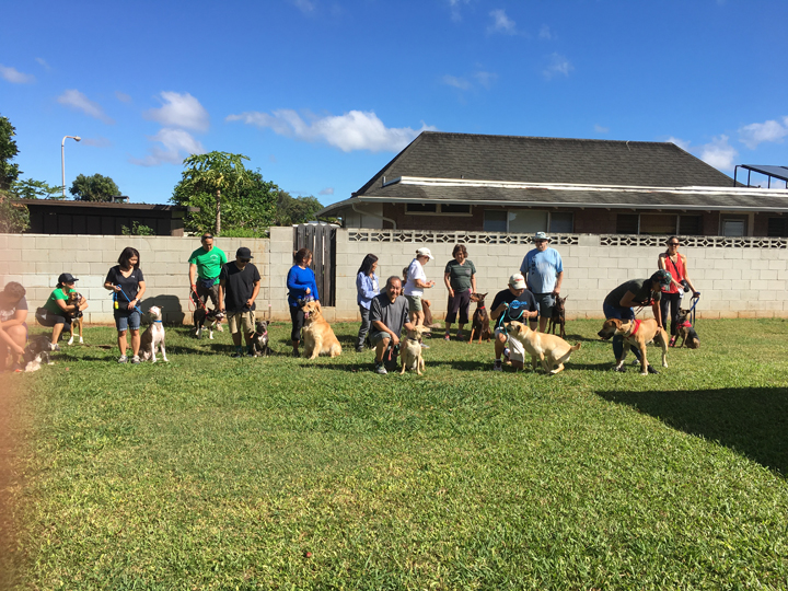  Spring 2018-Beginner-Cathy-5 