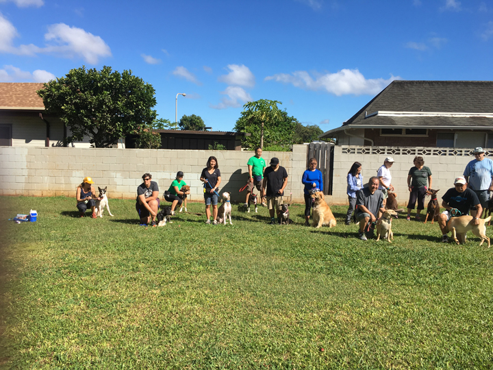  Spring 2018-Beginner-Cathy-6 