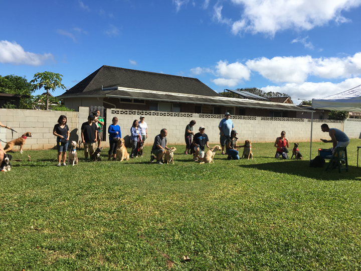  Spring 2018-Beginner-Cathy-7 