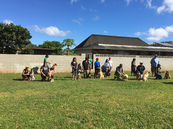  Spring 2018-Beginner-Cathy-8 