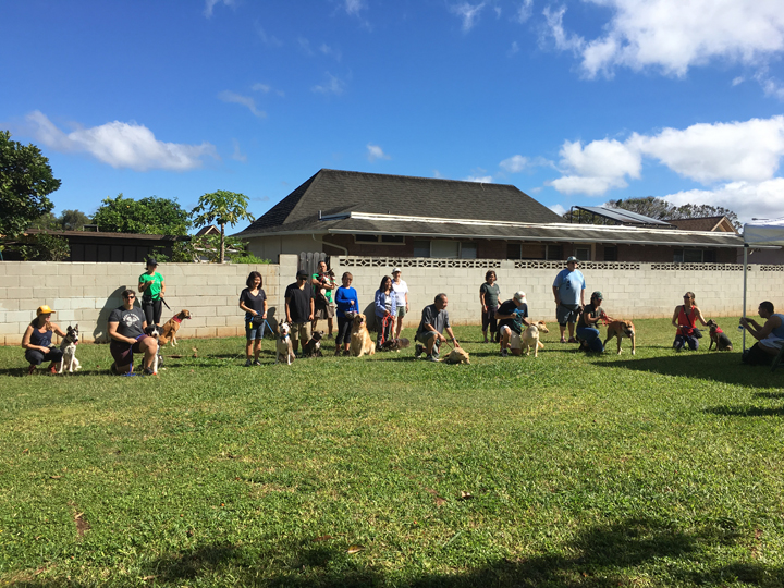  Spring 2018-Beginner-Cathy-9 