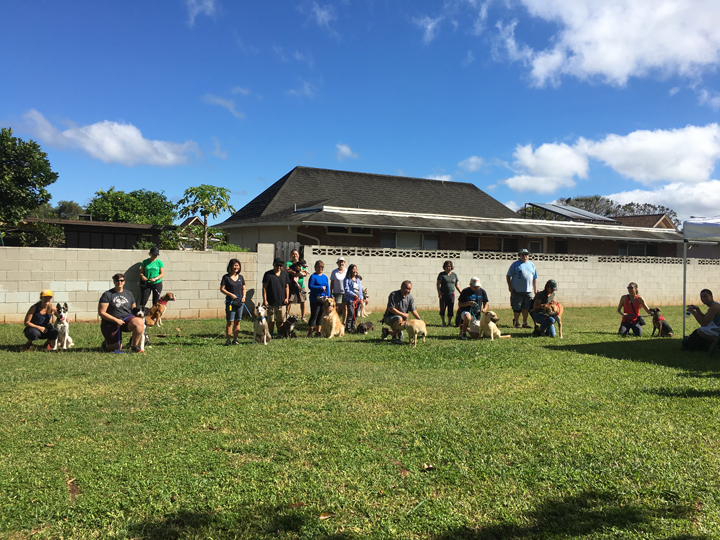  Spring 2018-Beginner-Cathy-10 