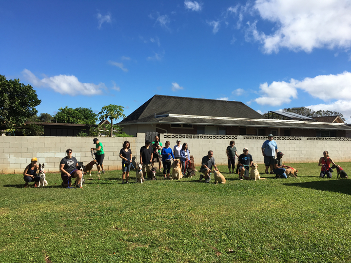  Spring 2018-Beginner-Cathy-12 