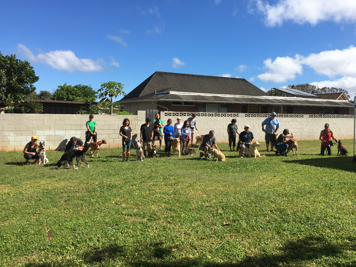  Spring 2018-Beginner-Cathy-13 