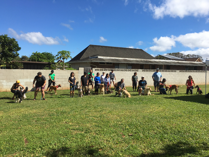  Spring 2018-Beginner-Cathy-14 