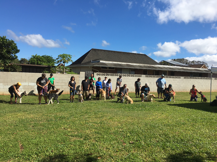  Spring 2018-Beginner-Cathy-15 