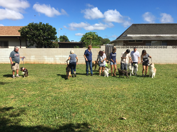  Spring 2018-Beginner-Peggy-1 