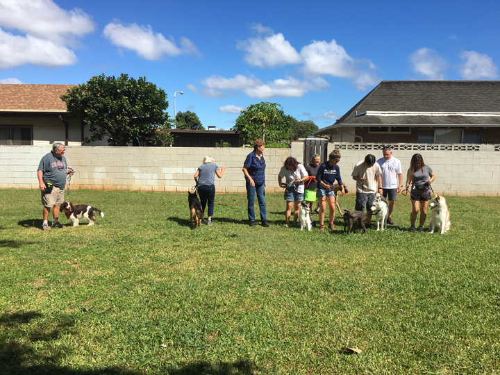  Spring 2018-Beginner-Peggy-2 