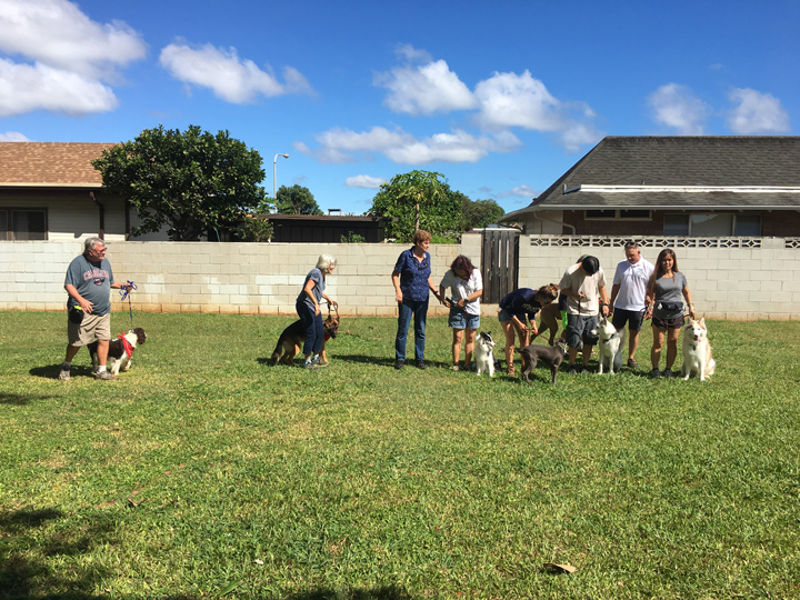  Spring 2018-Beginner-Peggy-3 