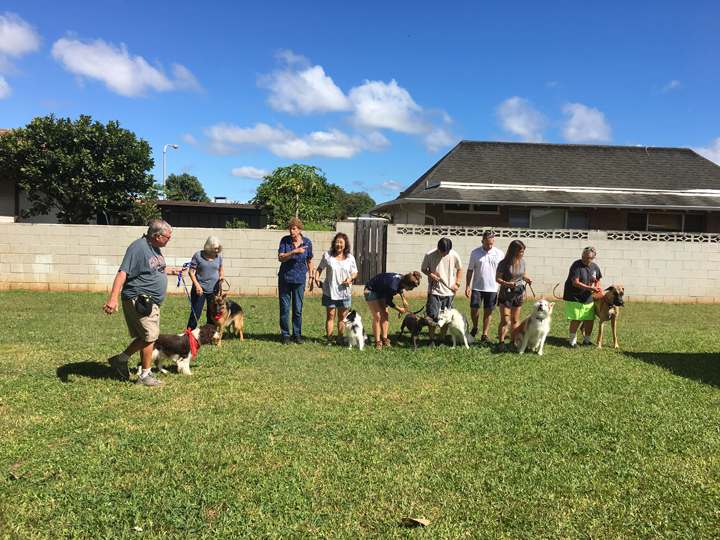  Spring 2018-Beginner-Peggy-4 