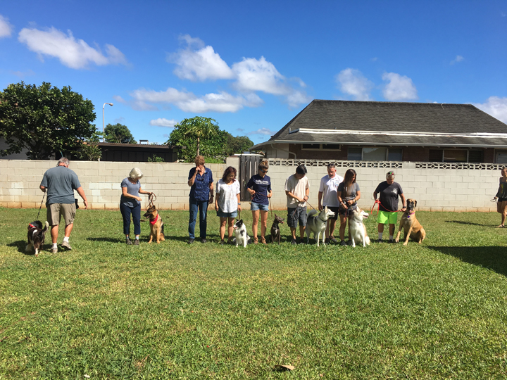  Spring 2018-Beginner-Peggy-5 