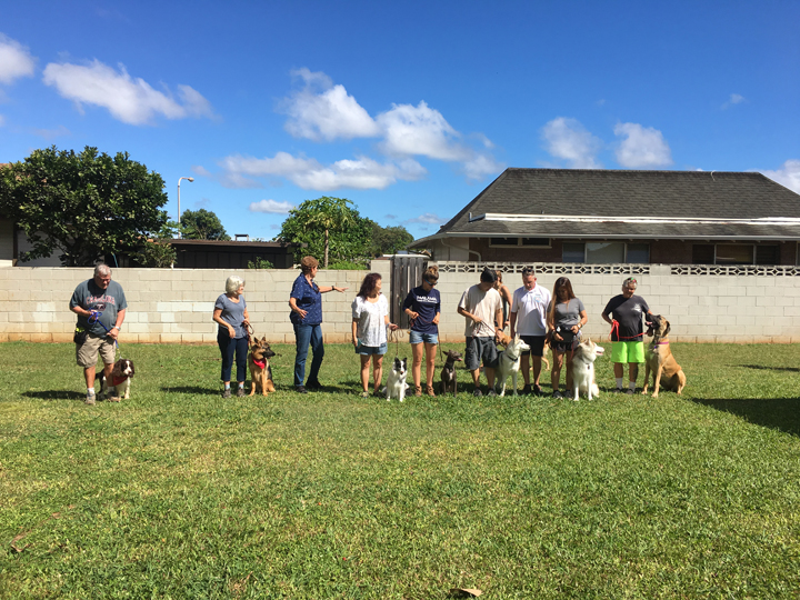  Spring 2018-Beginner-Peggy-6 