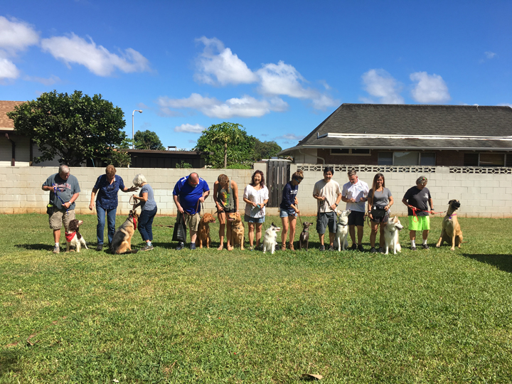  Spring 2018-Beginner-Peggy-10 