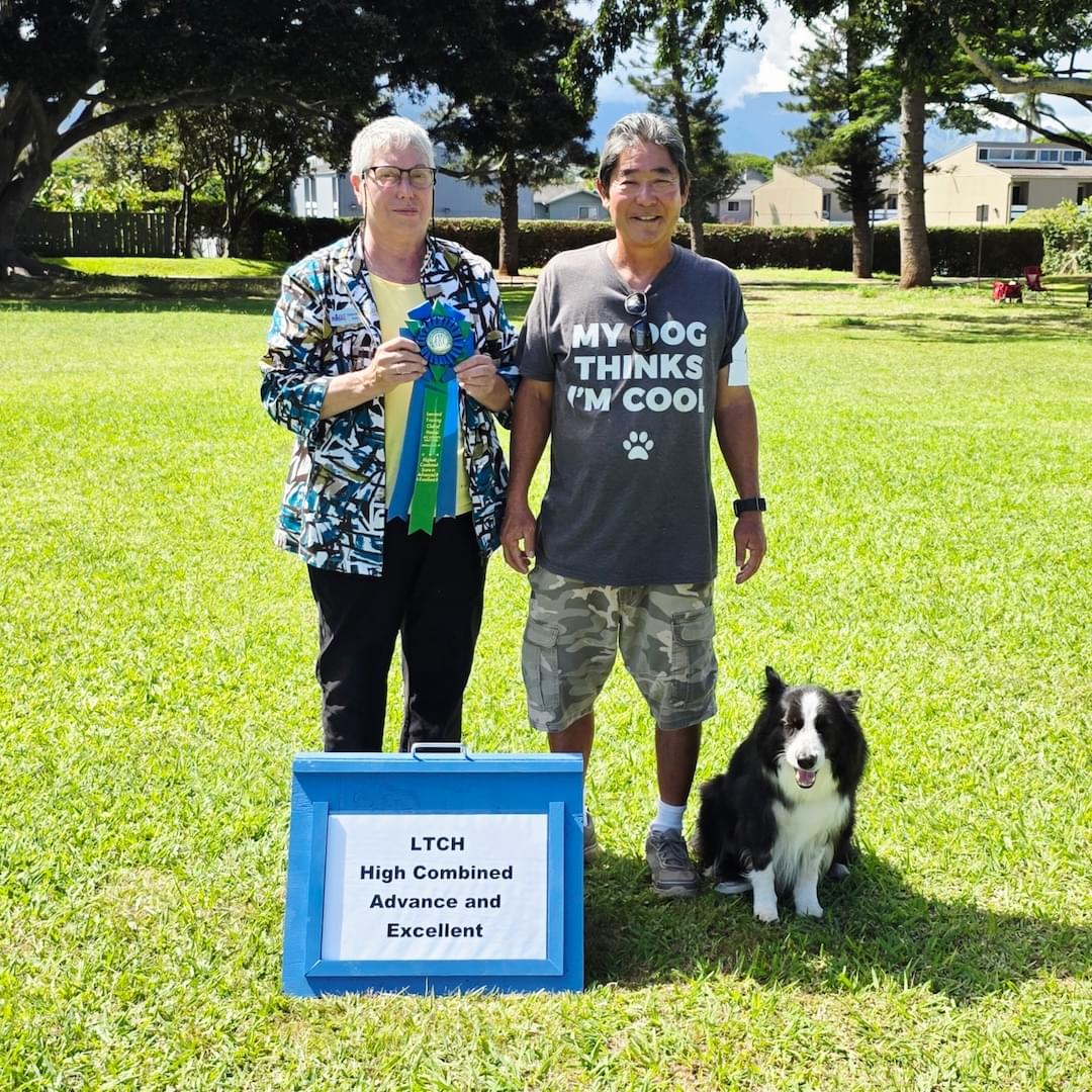  High Combined-Advance & Excellent 